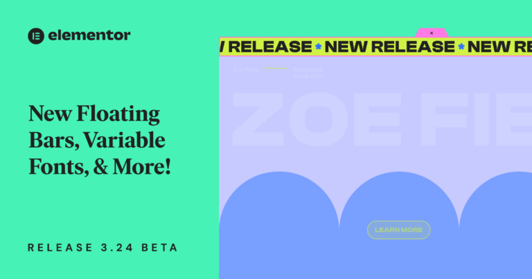 Elementor 3.24 Developers Update